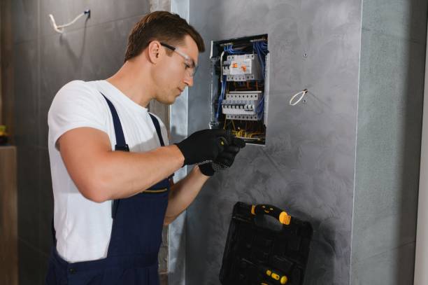 Best 24-Hour Electrician  in Gaylord, MN