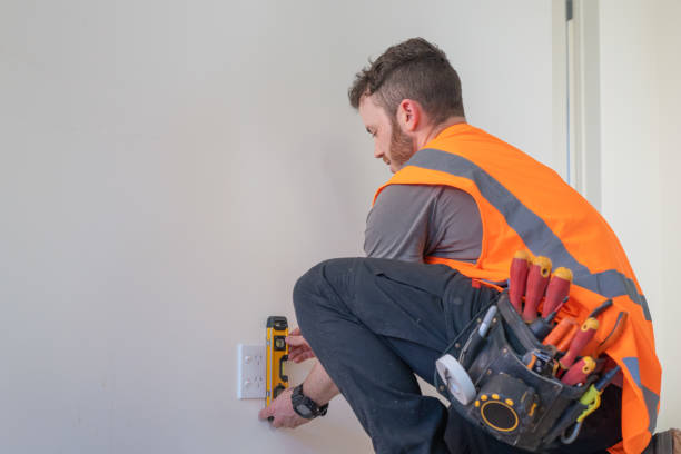 Best Ceiling Fan Installation Electrician  in Gaylord, MN
