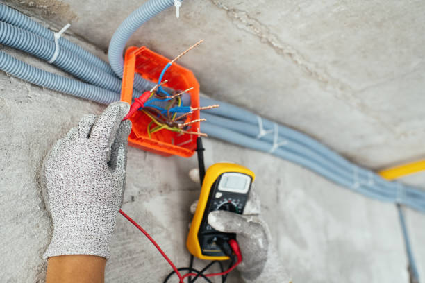 Best Electric Panel Repair  in Gaylord, MN