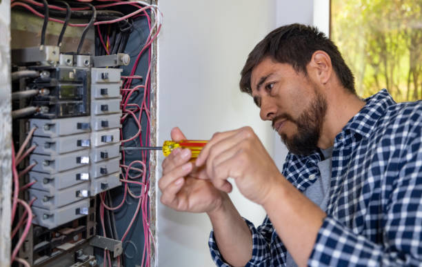 Best Electrical Upgrades for Homes  in Gaylord, MN